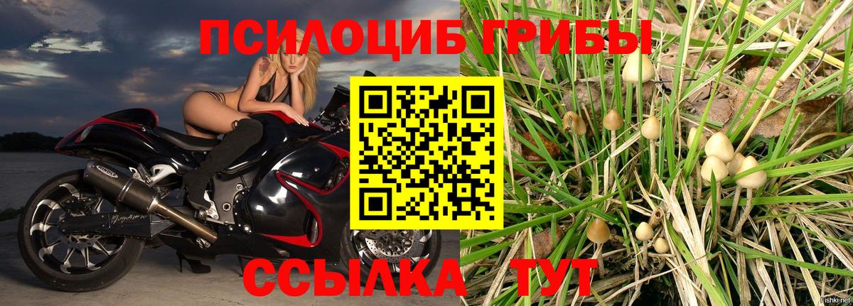 купить закладку  Галлюциногенные грибы мухоморы  Вход с VPN  Горячий Ключ 