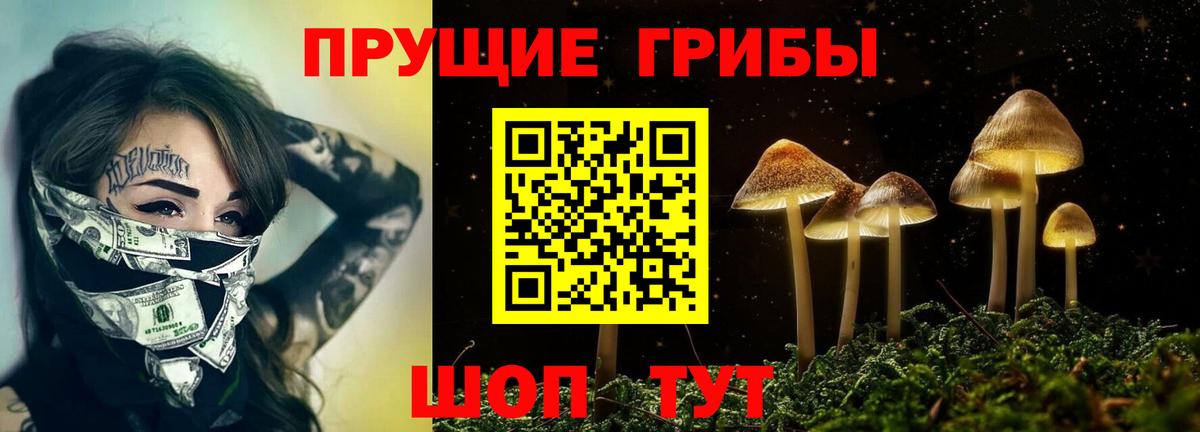 Галлюциногенные грибы Psilocybine cubensis Горячий Ключ